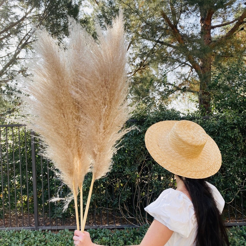 GORGEOUS! XXL Premium Sandy Blonde Wedding Pampas